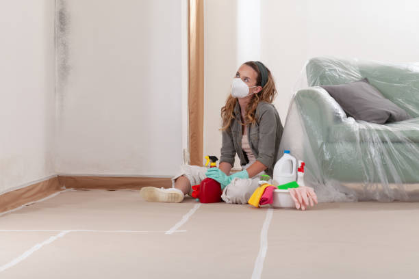 Reliable Mold Inspection And Testing contractor in Paramus, NJ by Car Mold Remediation